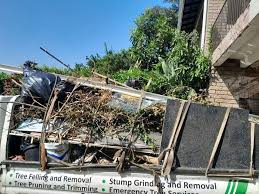 Best Property Management Cleanouts  in River Park, FL